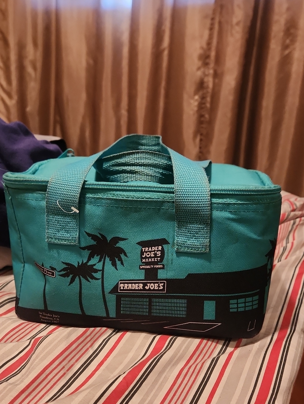 Trader Joe's Teal Insulated Lunch Bag